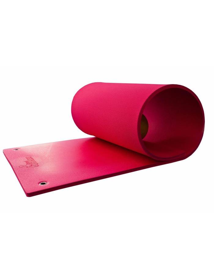 Saltea Fitness "Grand Fitness" Rosie